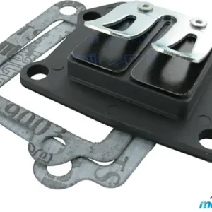 Alennettu Hinta Polini Evolution -kalvoventtiili Minarelli CW vert. 50 2T AC