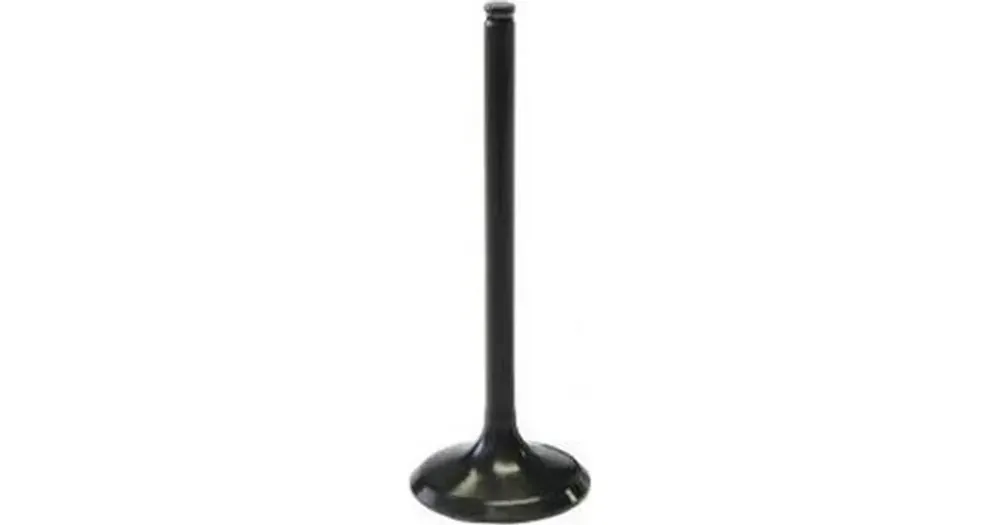 Edullinen Hinta Imuventtiili, teräs, Vertex 8400006-2