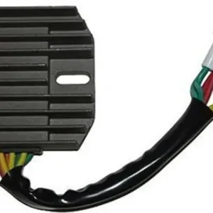 Jännitteensäädin Electrosport ESR121 Eniten Myyty