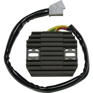 Jännitteensäädin Electrosport ESR122 Alkuperäinen