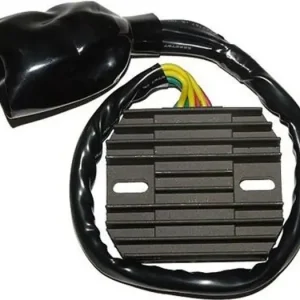 Jännitteensäädin Electrosport ESR438 Osta Tänään