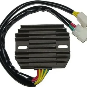 Electrosport ESR531 jännitteensäädin Aito