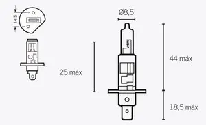 Bihr H1 12V 55W Universal Lamppu Suoraan Valmistajalta